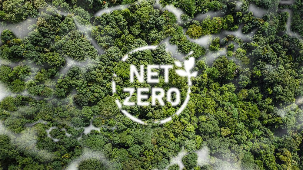 Net Zero Case Study